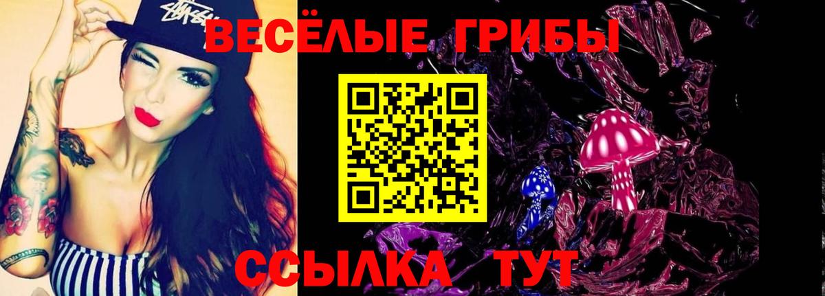Раменское  Галлюциногенные грибы Psilocybine cubensis  Вход с VPN 